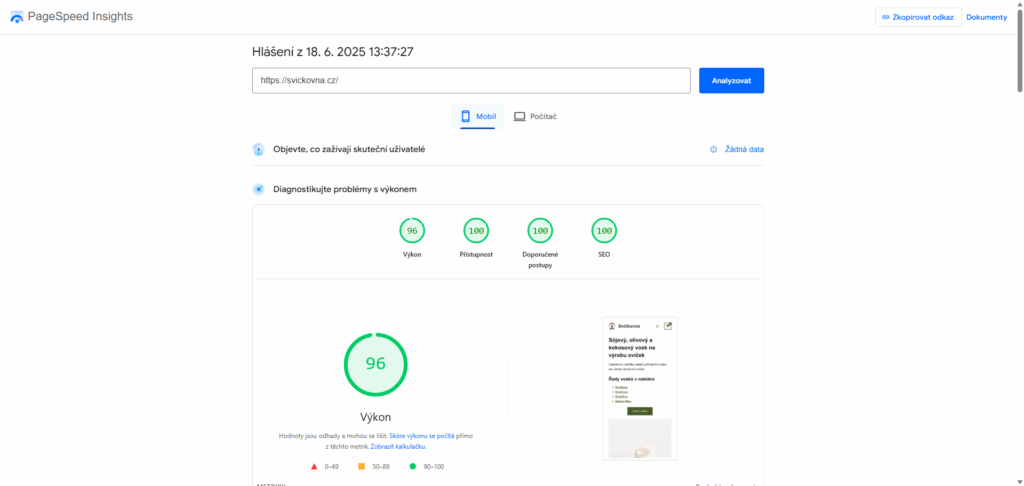 testování webu v PageSpeed Insights