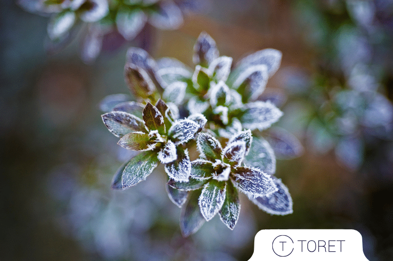 Nové funkce u Toret pluginů přidané v únoru 2026