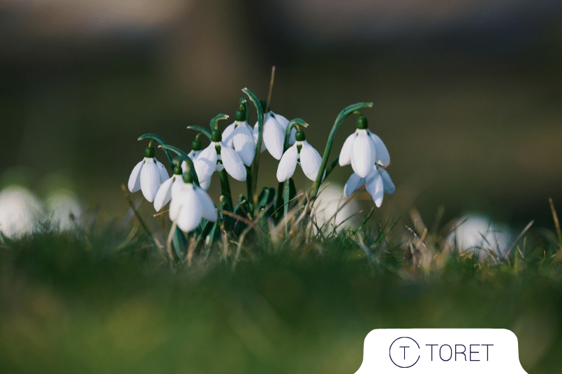 Nové funkce u Toret pluginů přidané v březnu 2026